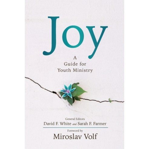 Joy: A Guide for Youth Ministry Paperback, Wesley''s Foundery Books