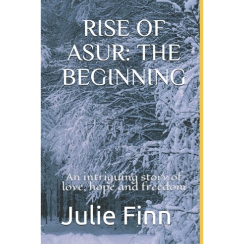 Rise of Asur: THE BEGINNING: An intriguing story of love hope and freedom. Paperback, Independently Published, English, 9798733252018