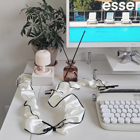 깔끔한 공간 연출의 마침표, 카망 코드삭스