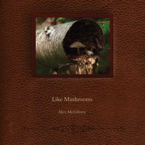 Like Mushrooms Paperback, Celticfrog Publishing, English, 9781989092521