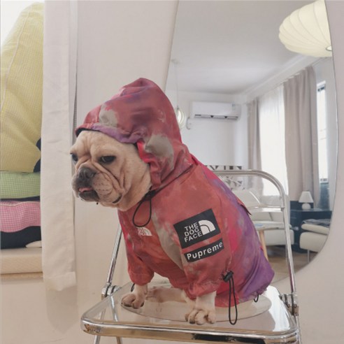 더도그페이스 힙한 강아지 우비 바람막이, 레드