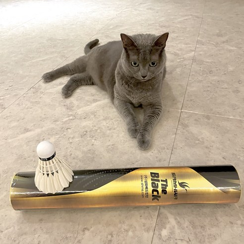 셔틀콕 스트레스 없이, 배드민턴 실력 UP!