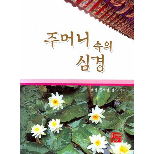 주머니 속의 심경, 바로보인