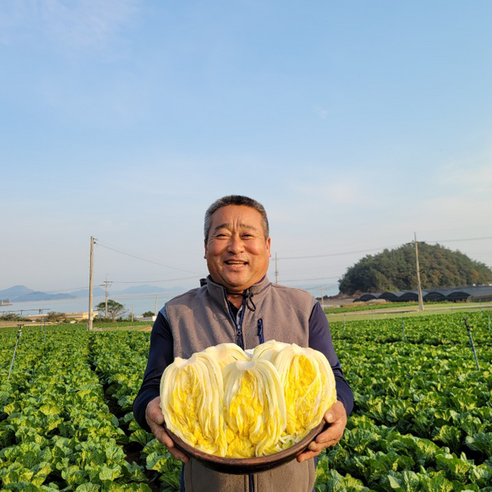 전라도 해남 절임배추 20kg, 김장철 도착(수령희망일을 필수추가정보에 입력필수), 1개