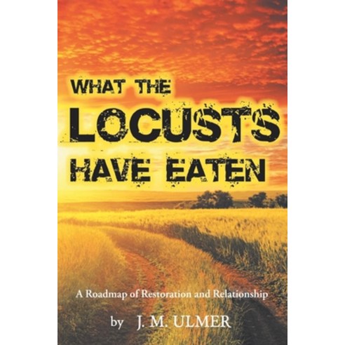 What the Locusts Have Eaten: A Roadmap of Restoration and Relationship Paperback, Christian Faith Publishing,..., English, 9781098061432