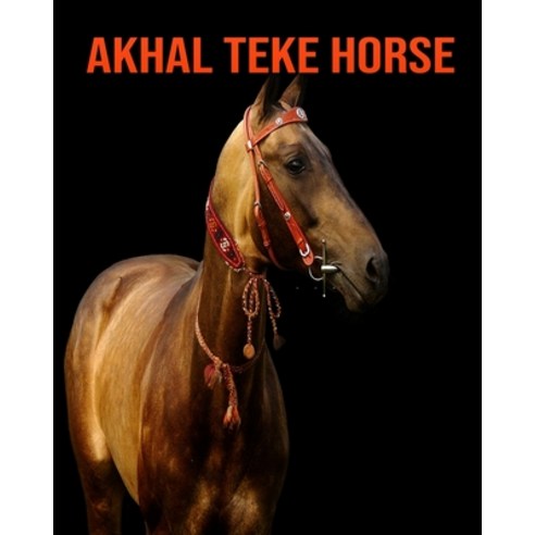 Akhal Teke Horse: Amazing Photos & Fun Facts Book About Akhal Teke Horse For Kids Paperback, Independently Published