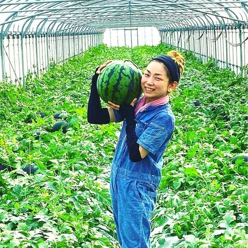 (한정수량 특가) 스테비아 고당도 수박 하우스수박 꿀수박 5kg 6kg 7kg, 6kg 이상, 1개