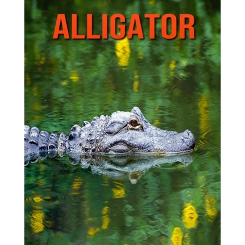 Alligator: Childrens Book Amazing Facts & Pictures about Alligator Paperback, Independently Published