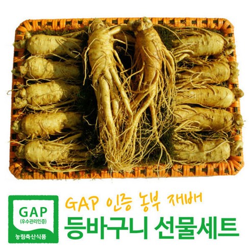 [GAP 농부 재배 인삼] 6-5년근 수삼 특대 2호(1kg 9-14뿌리) 인삼선물세트 등바구니+고급케이스+보자기 3중포장 엄선된 인삼으로만 포장 추석 한가위 명절 이바지용, 1세트, 750g