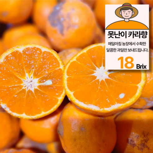 못난이특가! 제주 달코미 카라향 감귤, 3kg, 1개 하우스감귤 못난이특가! 제주 달코미 카라향 감귤, 3kg, 1개 하우스감귤