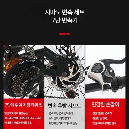 복잡한 도시, 자유를 접다
