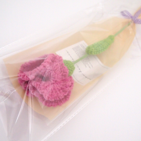 시들지 않는 사랑, 아베크 니트 카네이션으로 마음을 전하세요