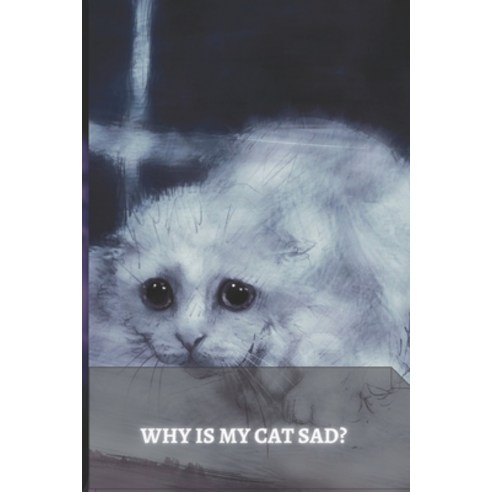 (영문도서) Why is my cat sad? Paperback, Independently Published, English, 9798510688481