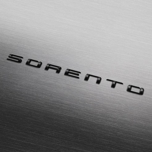 차량 외관을 돋보이게 하는 세련된 브렌톤 와이드 레터링 엠블럼 크롬