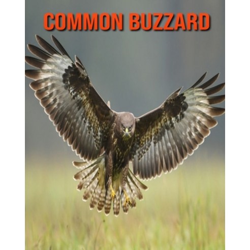 (영문도서) Common Buzzard: Amazing Facts & Pictures Paperback, Independently Published, English, 9798508994082