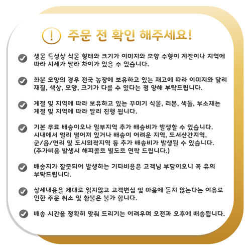 고급대형 화분 개업 축하 화분 전국 당일배송, 01. 녹보수, 1개