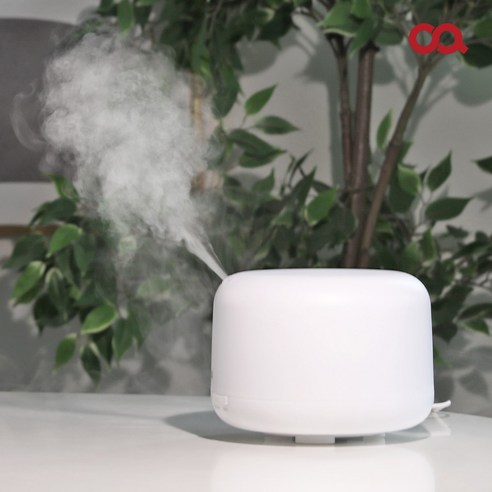 건조한 공기를 위한 편안함과 스타일의 오아시스