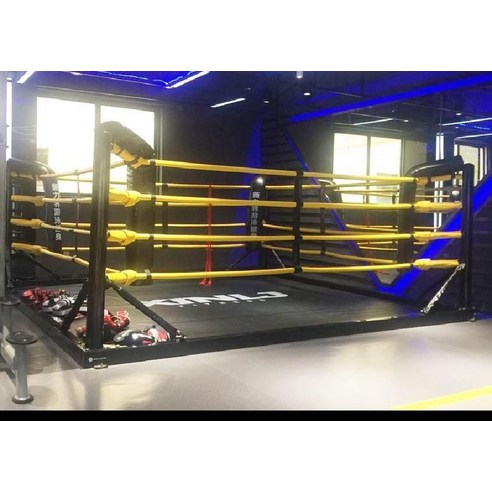 꿈을 향한 캔버스, 복싱링: 당신의 투지를 꽃피울 공간