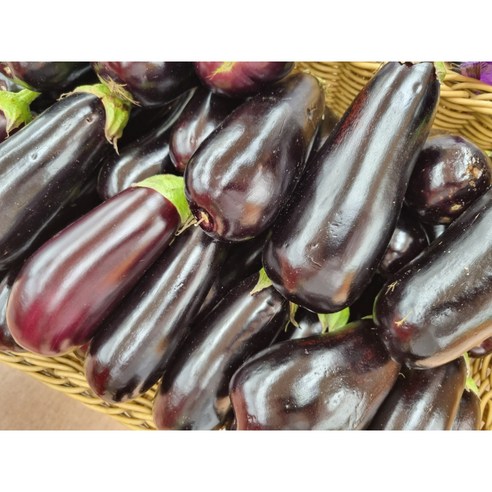 국내산 못난이 가지: 독특한 맛과 다양한 용도의 가정용 특품