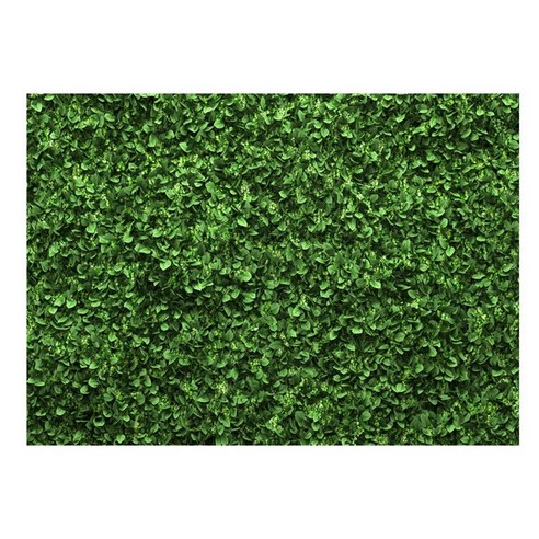 AFBEST W-628 비닐 사진 배경 잔디 녹색 잎 신생아 베이비 샤워 생일 화면 크로마 키 장면, 보여진 바와 같이