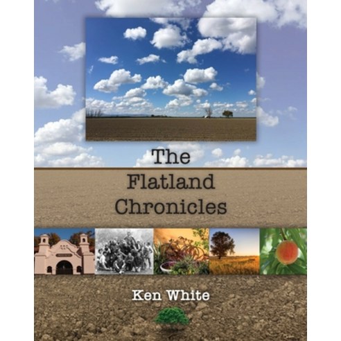 (영문도서) The Flatland Chronicles Paperback, White & Wilkinson Publishing, English, 9781734022292