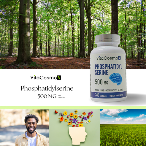 VitaCosmoX 포스파티딜세린으로 기억력과 집중력을 한 번에!