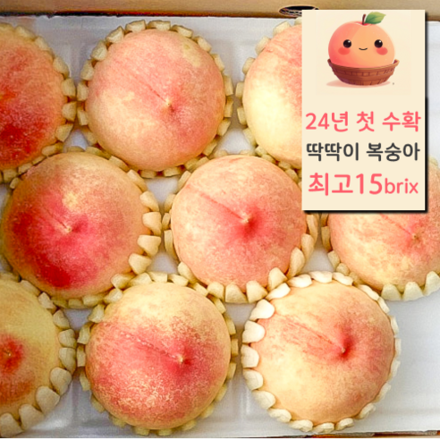 최상급 명품 딱딱이 복숭아 선물용, 1개, 2kg(특품)