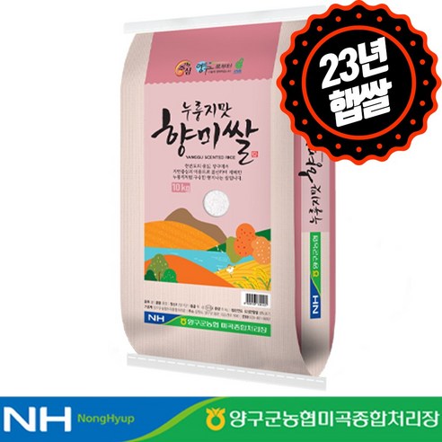 [하루세끼쌀] 23년 햅쌀 양구농협 양구 누룽지맛 향미쌀 10kg 구수한향+당일도정, 1개