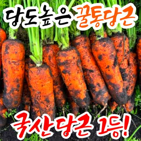 [국산당근1등] 꿀통당근 초특가 국내산 햇 당근, 1박스, 중 10kg