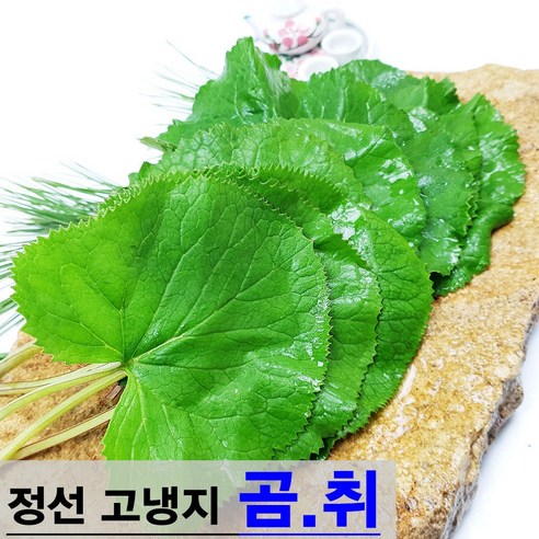 햇살농원 정선 고냉지 생 곰취나물 당일수확 산지직송, 1개, 고냉지 생 곰취나물 1kg, 1kg