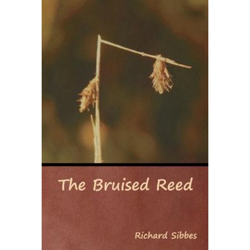 (영문도서) The Bruised Reed Paperback, Bibliotech Press, English, 9781618954572