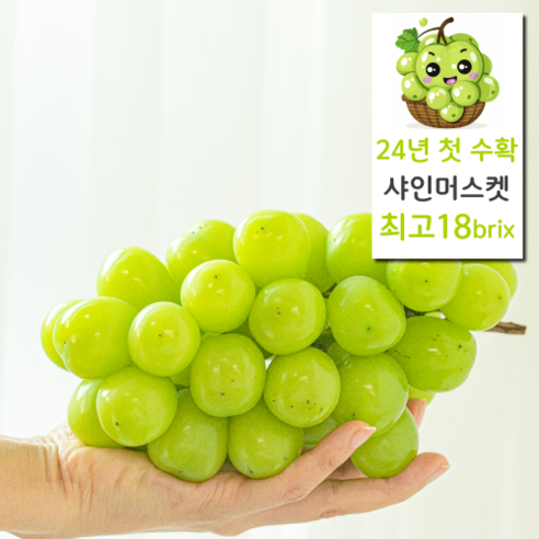 18brix 달콤상큼 명품 샤인머스켓 특품, 1개, 1kg(특품)