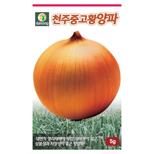 다농 천주중고황양파 5g 양파씨앗, 1개