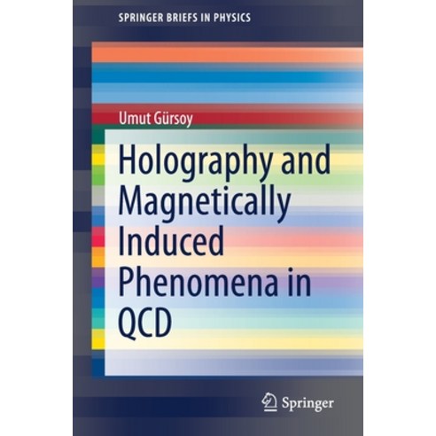 (영문도서) Holography and Magnetically Induced Phenomena in QCD Paperback, Springer, English, 9783030795986