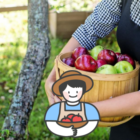 매일 아침, 꿀처럼 달콤한 하루를 여는 마법: 유기농 못난이 사과 이야기 유기농사과