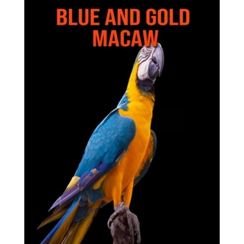 Blue and Gold Macaw: Amazing Facts & Pictures Paperback, Independently Published, English, 9798745871313