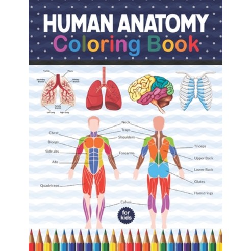 Human Anatomy Coloring Book For Kids: Human Body Anatomy Coloring Book For Kids Boys and Girls and ... Paperback, Independently Published, English, 9798575685890