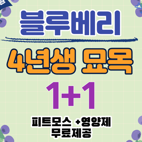 블루베리 묘목으로 건강한 정원을 가꾸다