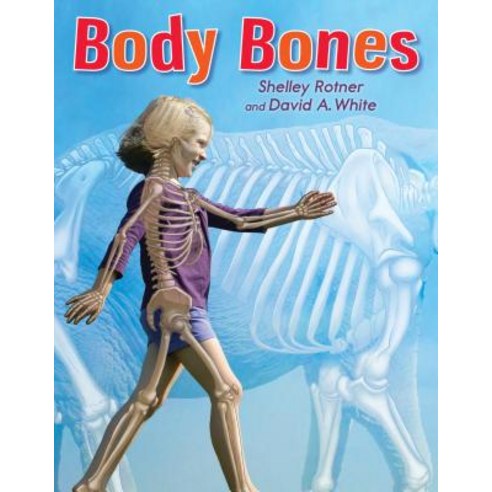 (영문도서) Body Bones Hardcover, Holiday House, English, 9780823431625