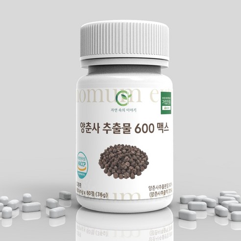 건강한 삶의 동반자