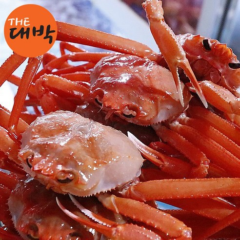 제철 홍게 붉은 대게 게 박달 자숙 독도홍게, 독도 홍게 3kg (자숙), 1개