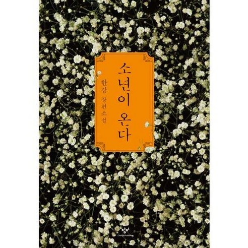 노벨문학상 한강소년이 온다, 없음