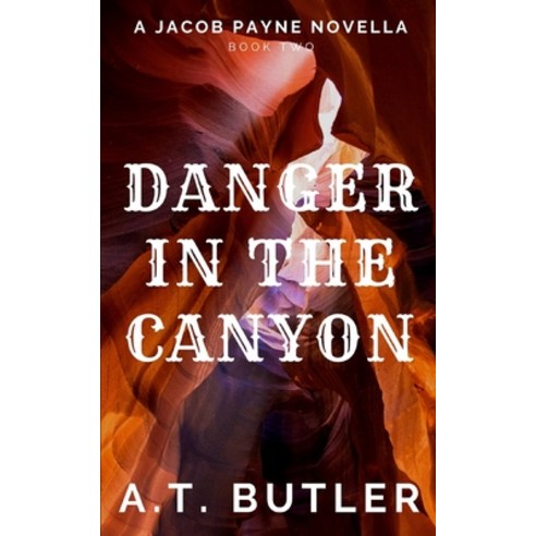 Danger in the Canyon: A Western Novella Paperback, James Mountain Media LLC