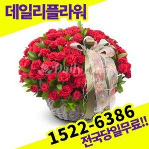 빨강장미100송이 꽃바구니 꽃배달서비스 당일배송