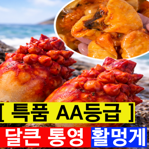 [특등품AAA등급] 통영 활멍게 생물멍게 봄멍게