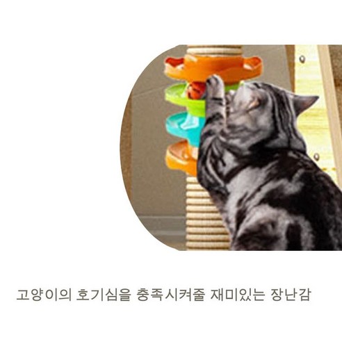 고양이를 위한 완벽한 다기능 공간