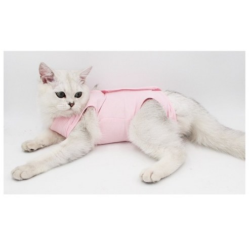 난펫 강아지 고양이 환묘복 환견복 중성화복