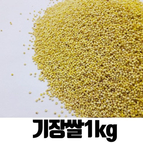 밥보야 수입 기장쌀 찰기장 1kg, 1개