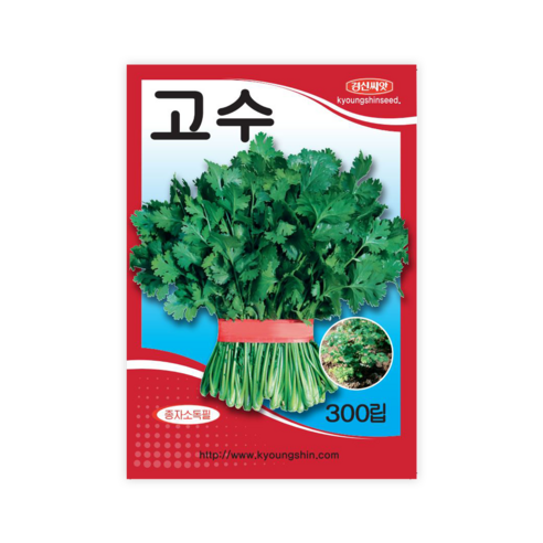 [이국적 맛의 고수 300립 코리앤더 경신 씨앗, 1개] 누리대