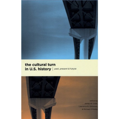 (영문도서) The Cultural Turn in U. S. History: Past Present and Future Paperback, University of Chicago Press, English, 9780226115078
